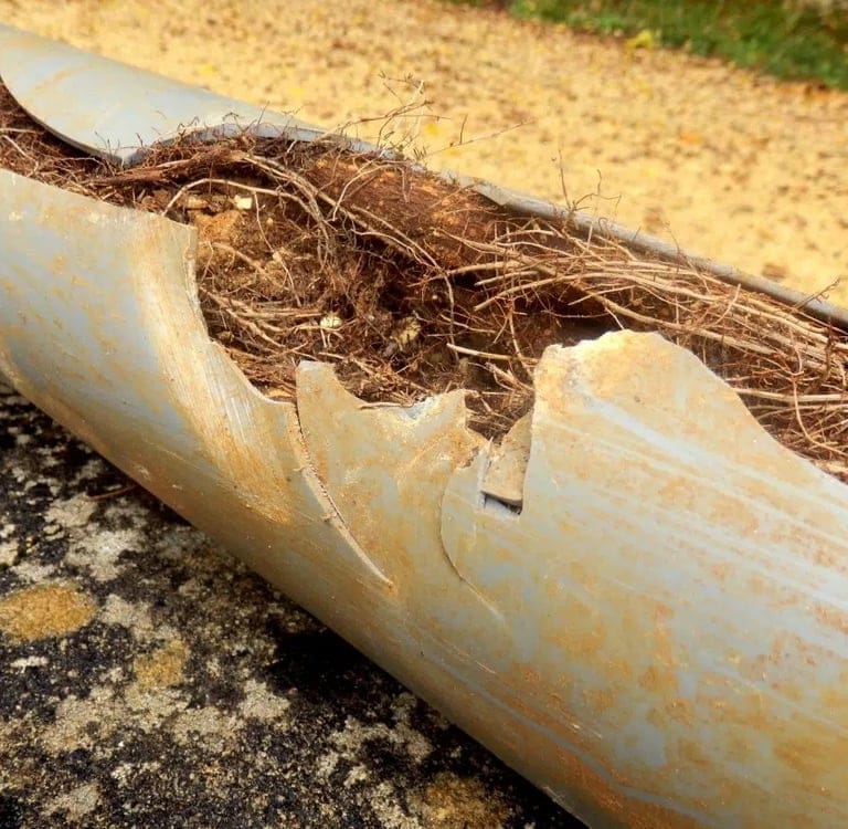 commercial-plumbing Entupimento em cano de esgoto causado por raízes, bloqueando a passagem de água em Cuiabá e Várzea Grande MT
